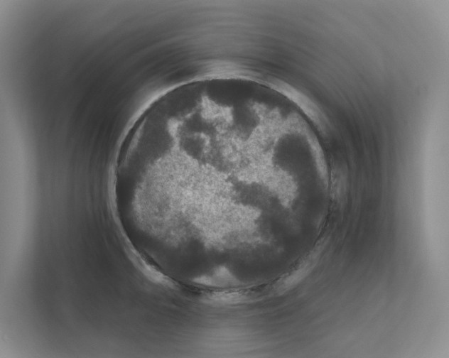 X0000111421094200908031300