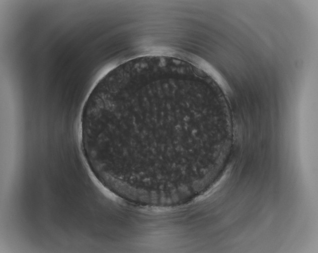 X0000111421095200908031300