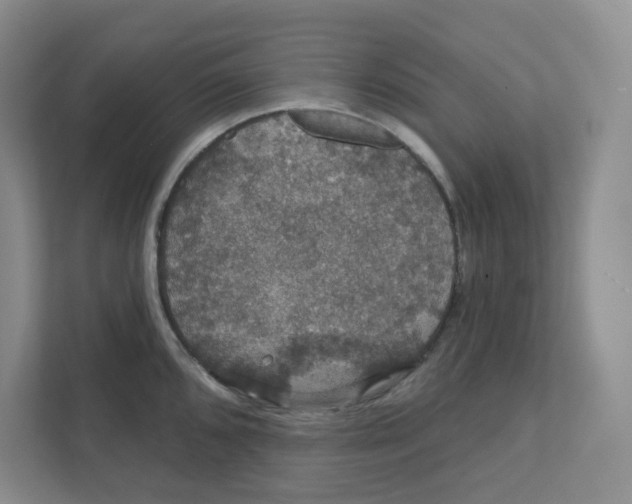 X0000111421096200908031300