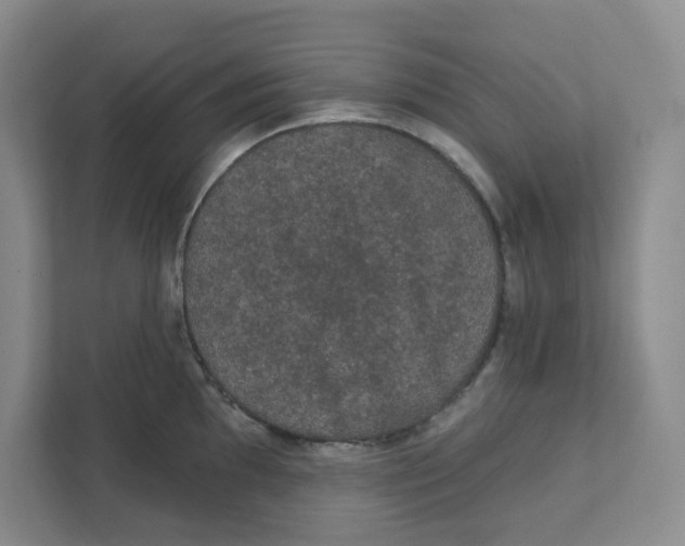 X0000111421097200908031300