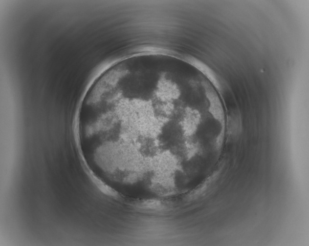 X0000111421098200908031300