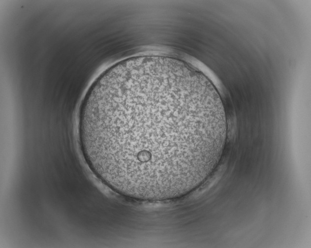 X0000111421099200908031300