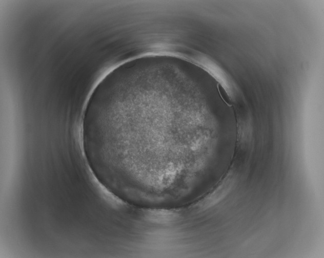 X0000111421100200908031300