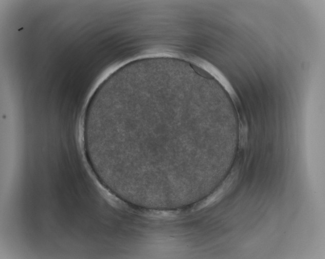 X0000111421101200908031300