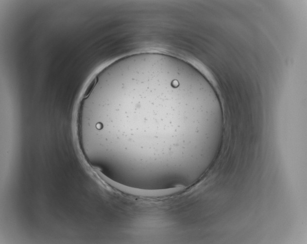 X0000111421104200908031300