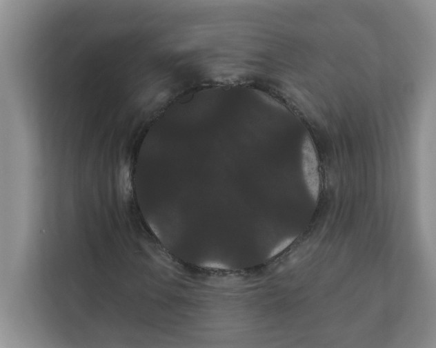 X0000111421106200908031259