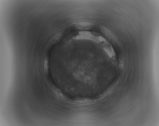 X0000111421108200908031259