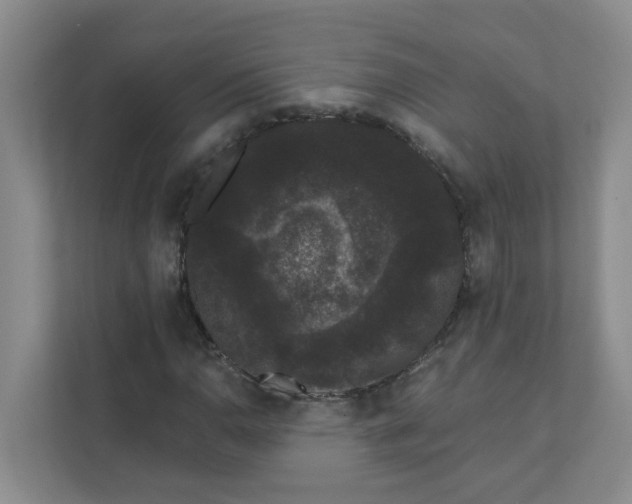 X0000111421110200908031259