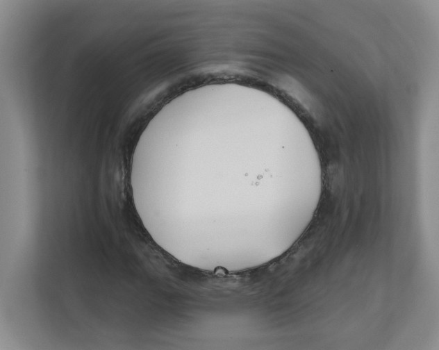 X0000111421111200908031259