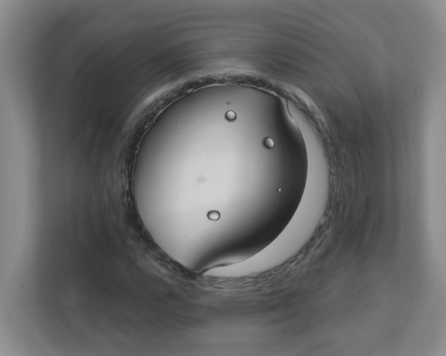 X0000111421112200908031259