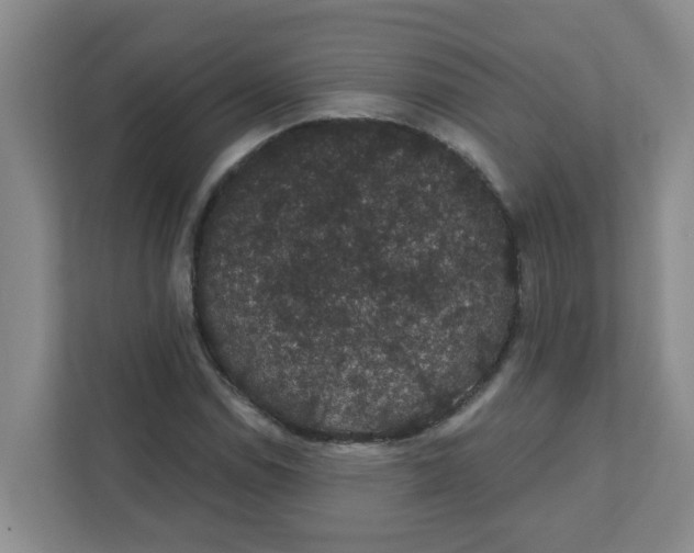 X0000111421114200908031259