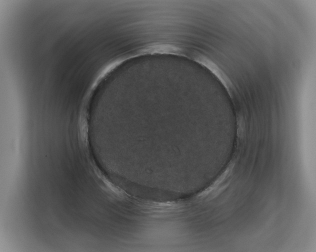 X0000111421115200908031259