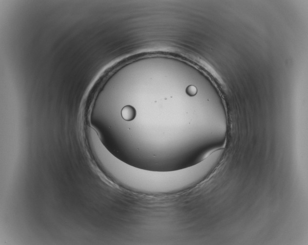 X0000111421116200908031259