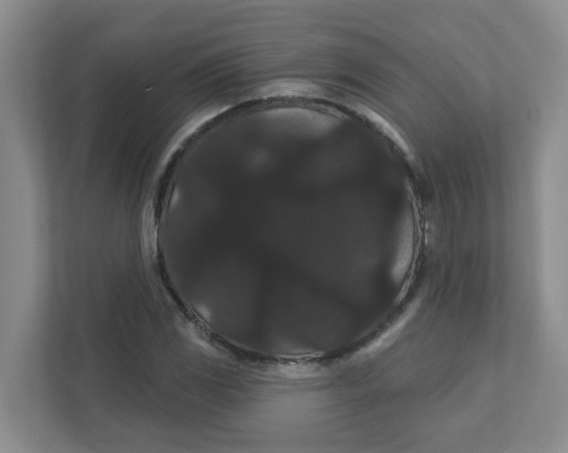 X0000111421117200908031259