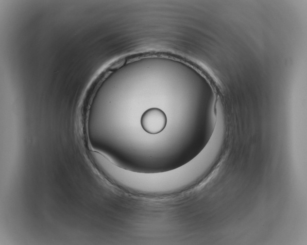 X0000111421118200908031259