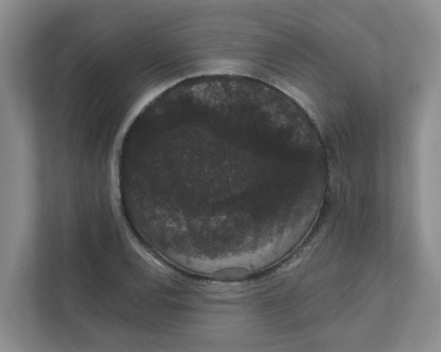 X0000111421120200908031259