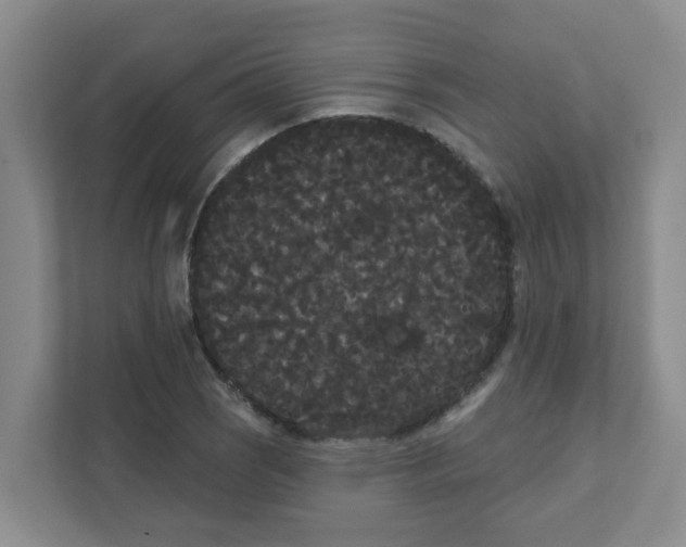 X0000111421121200908031259