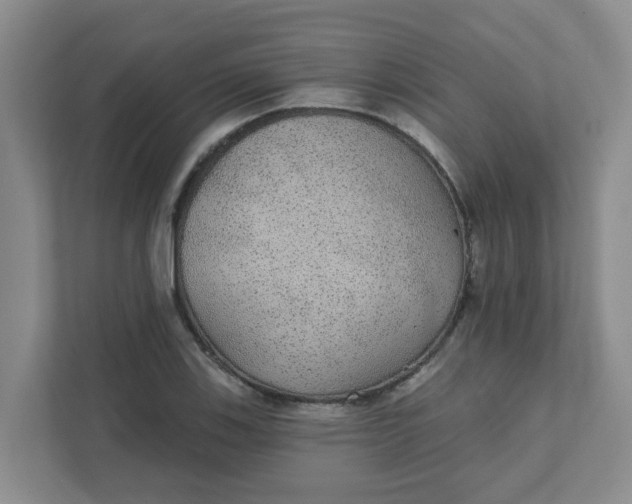 X0000111421123200908031259