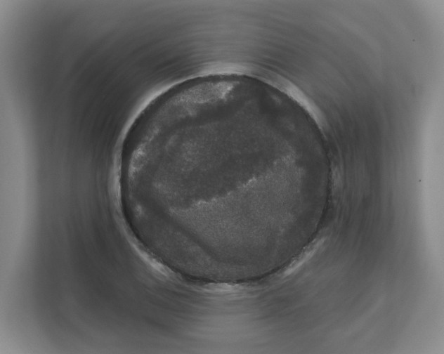 X0000111421124200908031259