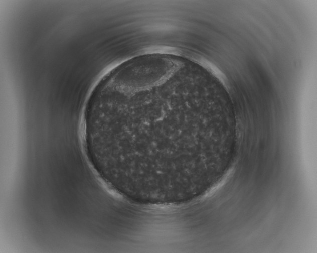 X0000111421125200908031259