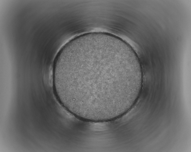 X0000111421126200908031259