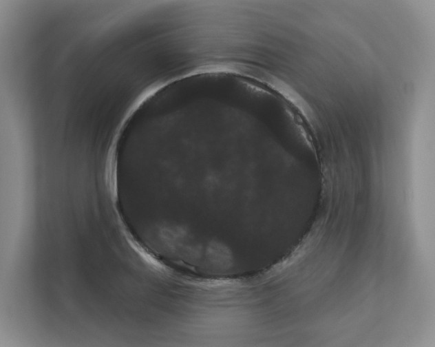 X0000111421127200908031259