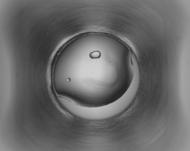 X0000111421128200908031259