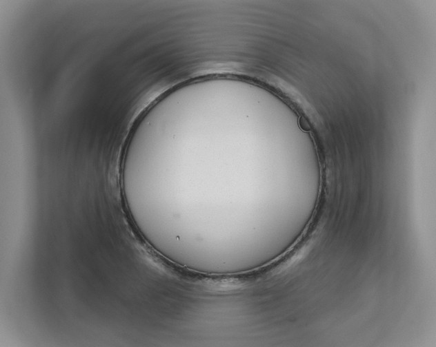 X0000111421129200908031259