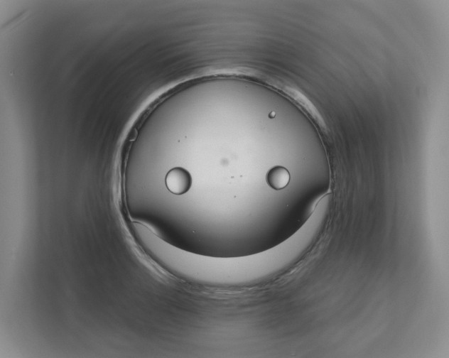 X0000111421132200908031259