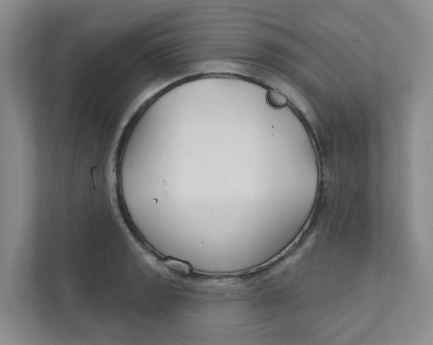 X0000111421133200908031259