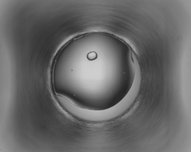 X0000111421134200908031259