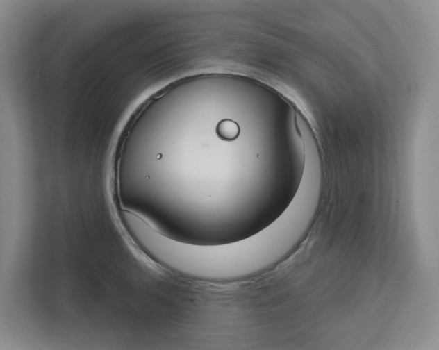 X0000111421136200908031259