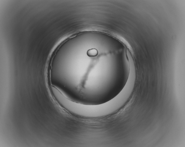 X0000111421138200908031259