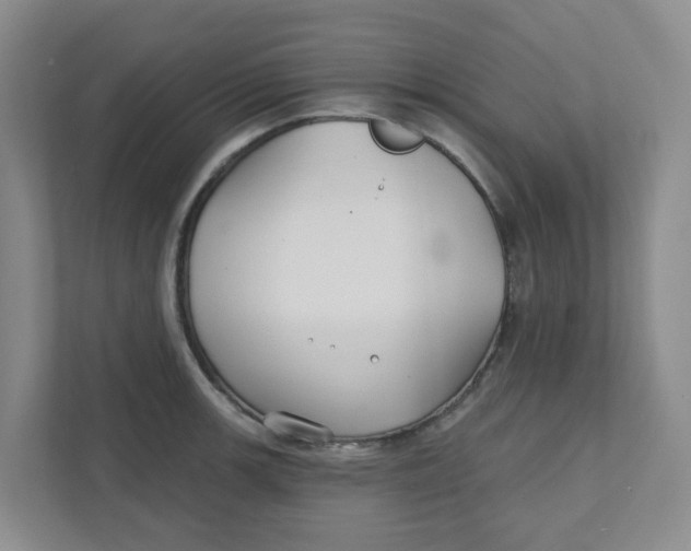 X0000111421139200908031259