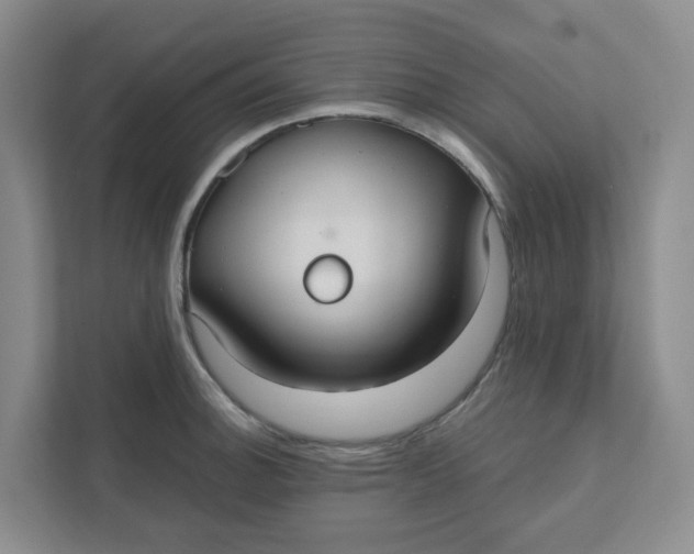 X0000111421140200908031259