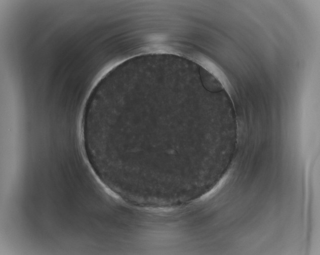 X0000111421141200908031300