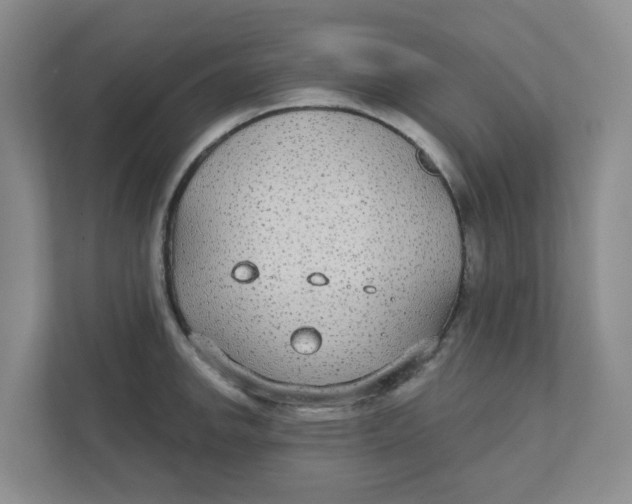 X0000111421142200908031300