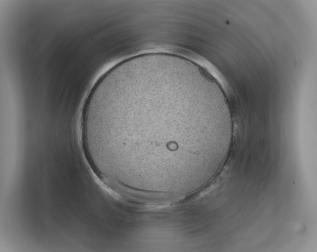 X0000111421143200908031300