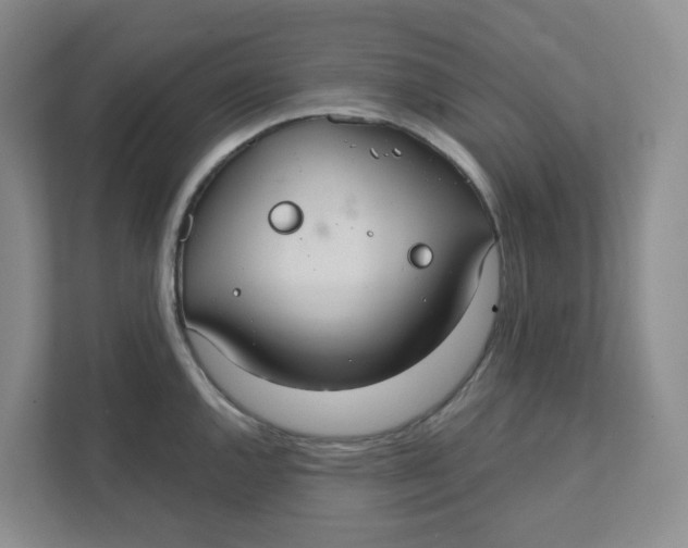 X0000111421144200908031300