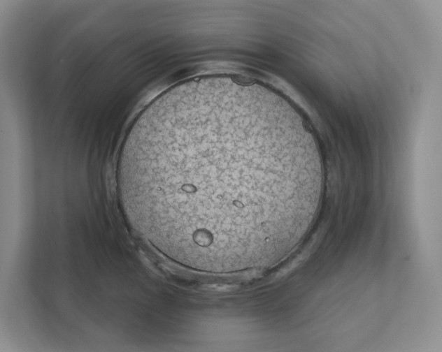 X0000111421145200908031300