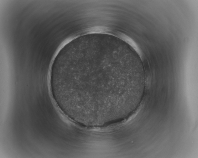 X0000111421146200908031300