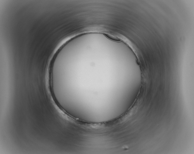 X0000111421147200908031300