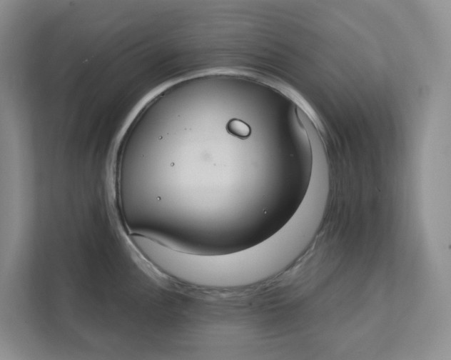 X0000111421148200908031300