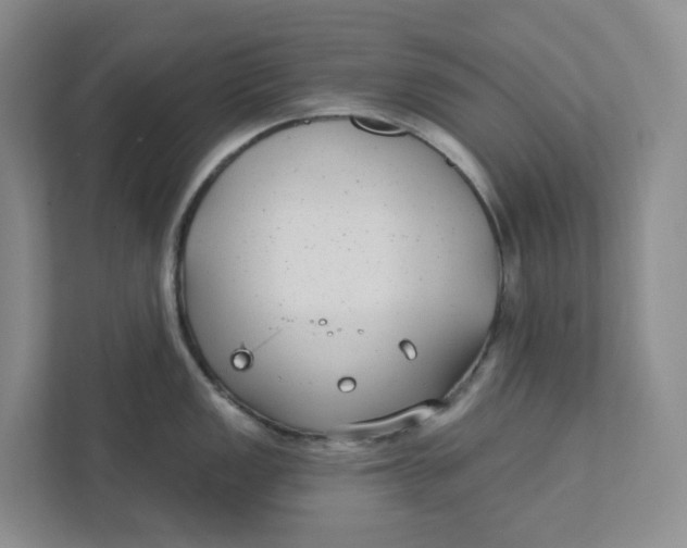 X0000111421149200908031300