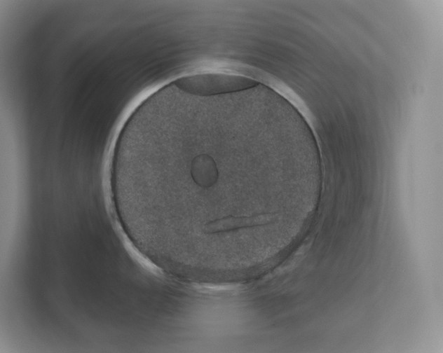 X0000111421152200908031300