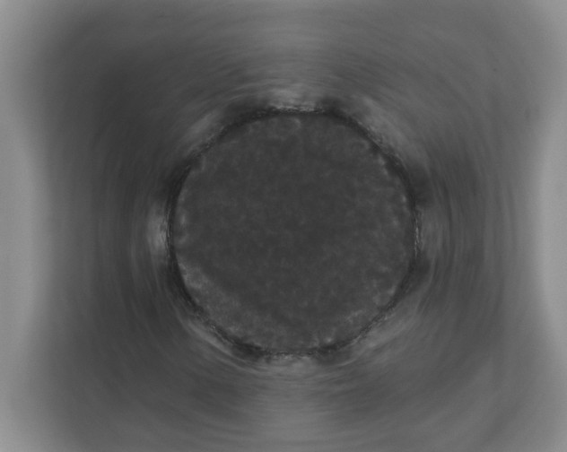 X0000111421154200908031259