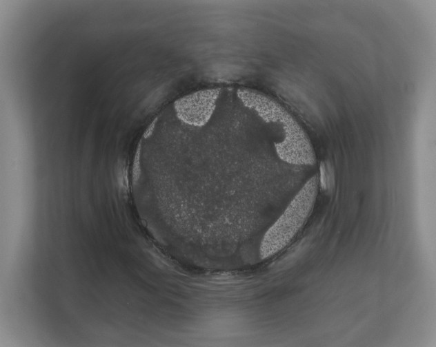 X0000111421155200908031259