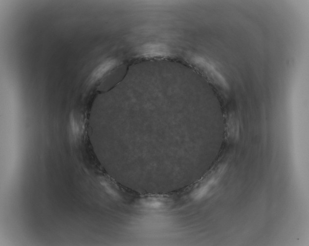 X0000111421157200908031259