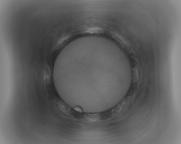 X0000111421158200908031259