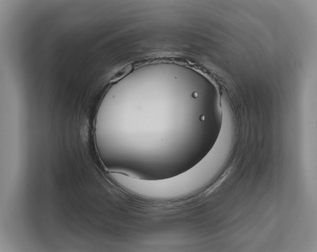 X0000111421161200908031259